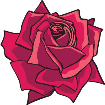 Rose Flower Vetor 2